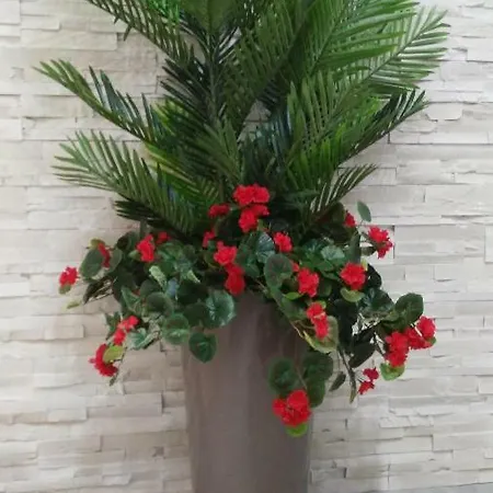Guest house La